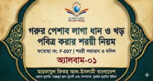 গরুর পেশাব লাগা ধান ও খড় পবিত্র করার শরয়ী নিয়ম