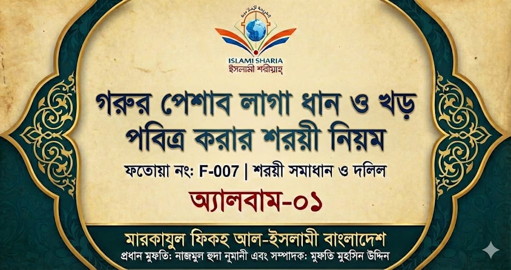 গরুর পেশাব লাগা ধান ও খড় পবিত্র করার শরয়ী নিয়ম