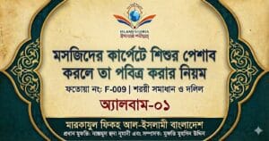 মসজিদের কার্পেটে শিশুর পেশাব করলে তা পবিত্র করার নিয়ম